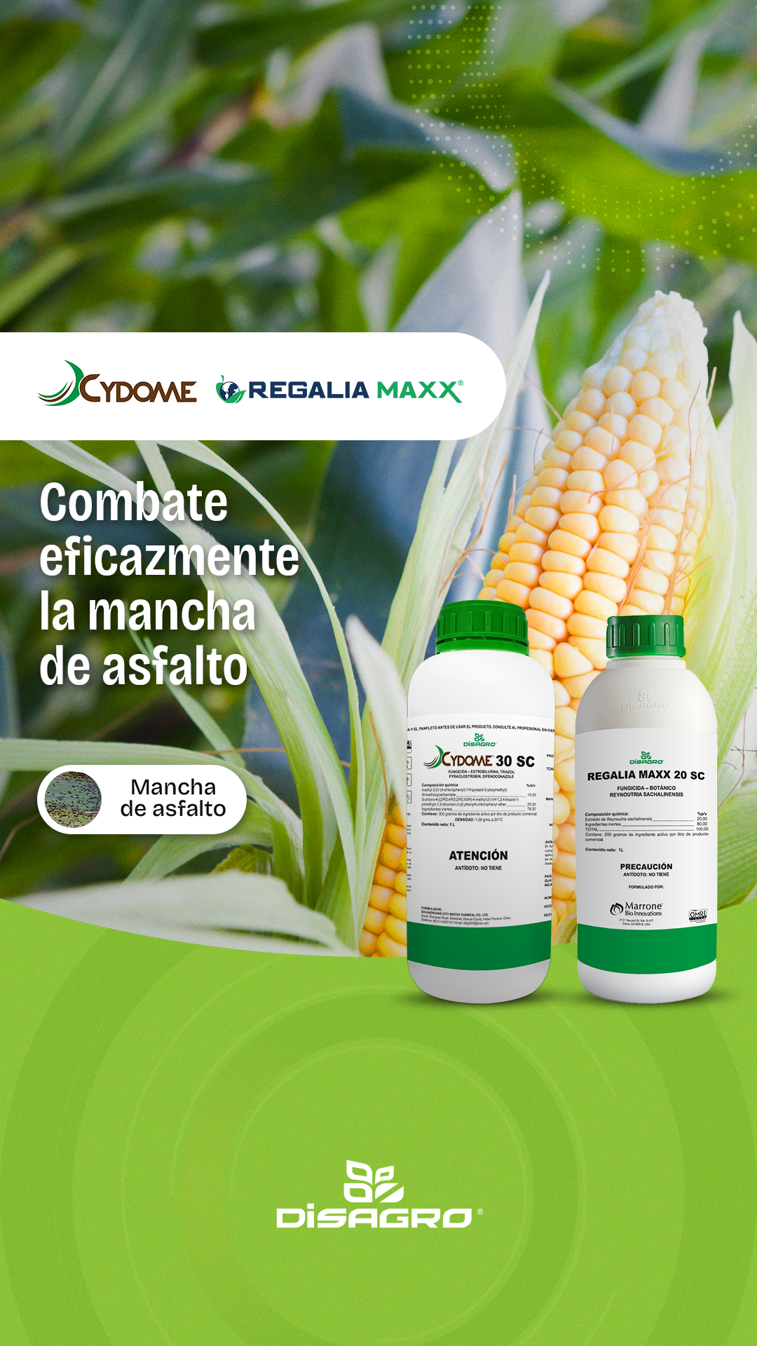 CYDOME® + REGALIA MAXX® - Disagro Panamá